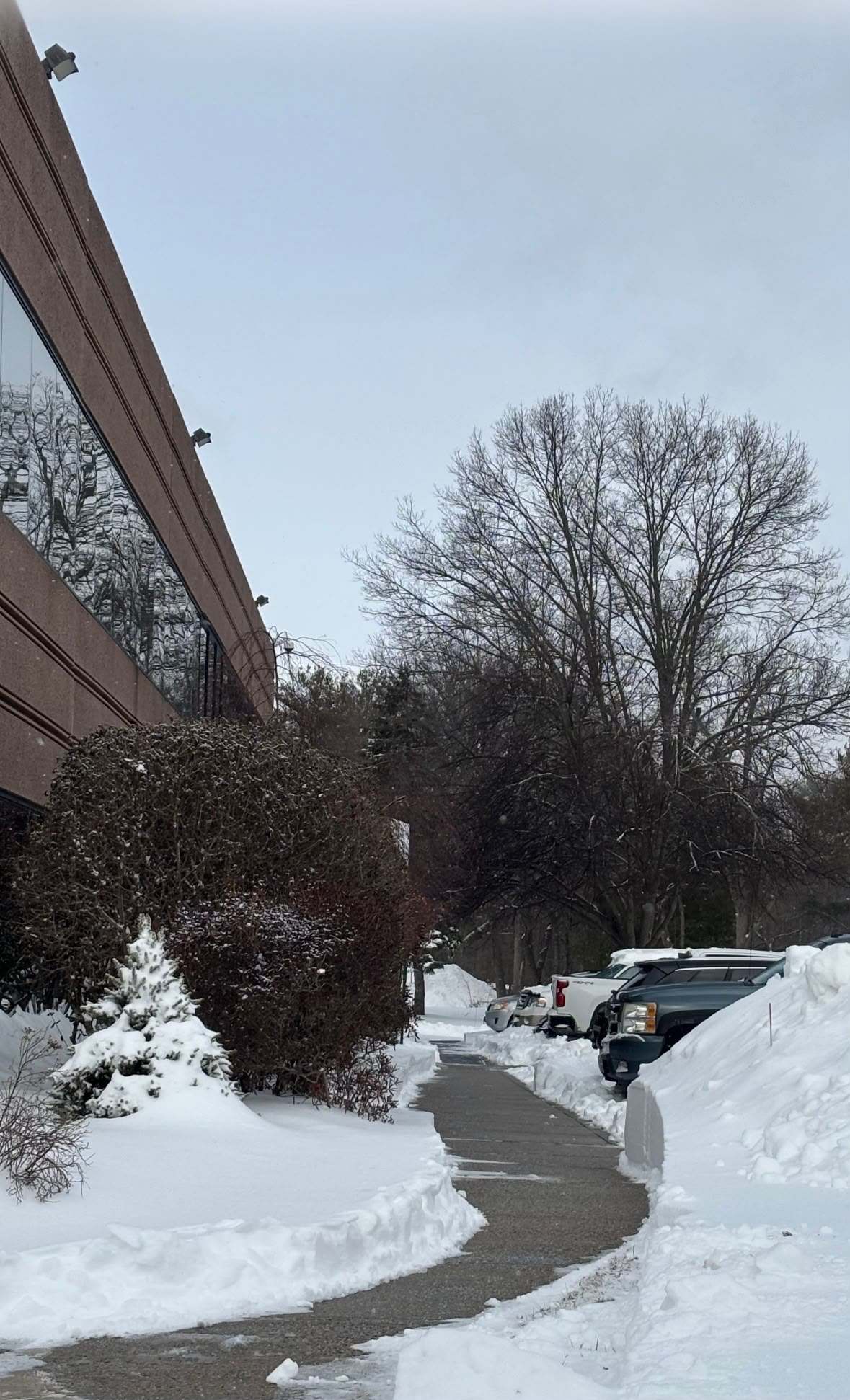Snow removal project